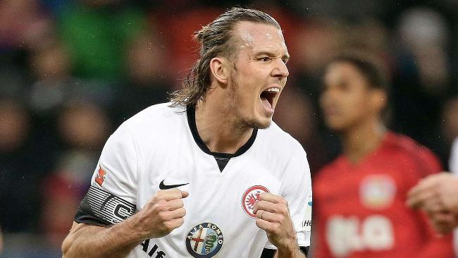 场强度与纵 场强度与纵